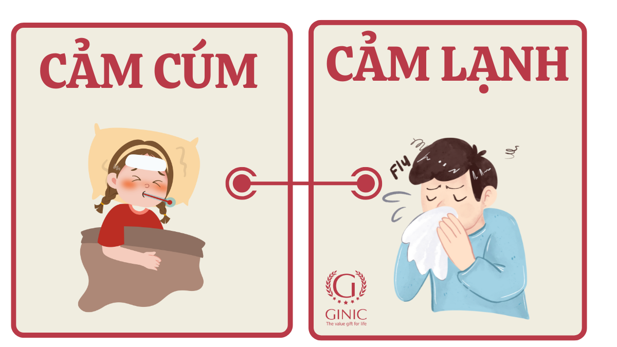 Cảm lạnh hay cúm? Cách phân biệt nhanh, chăm sóc đúng và phòng tránh mùa dịch