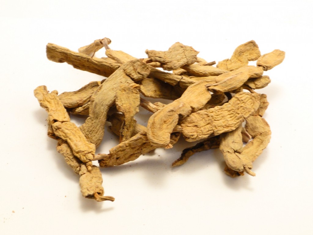 Ba kích - Vị thuốc tốt dành cho các quý ông