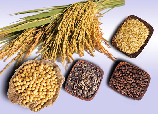 Giúp bé tăng chiều cao với những thực phẩm giàu canxi