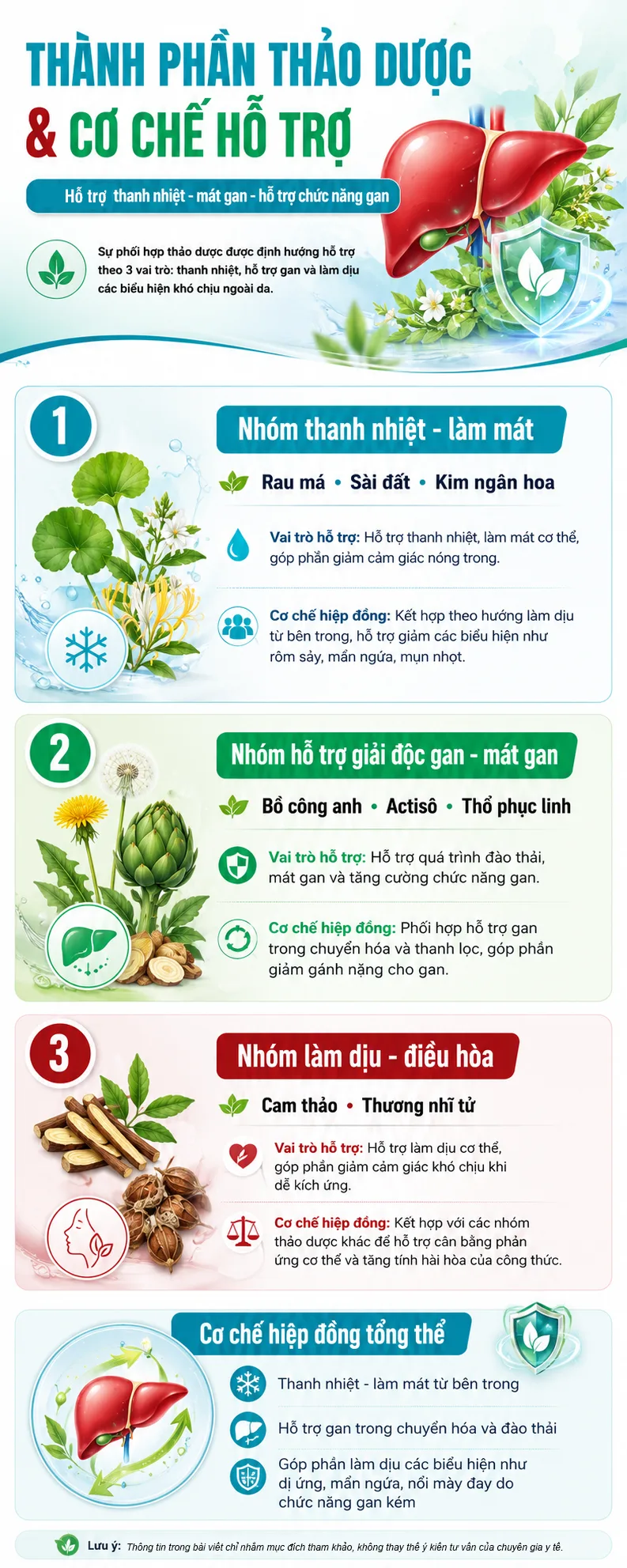 [INFOGRAPHIC] Thành phần thảo dược hỗ trợ thanh nhiệt, mát gan và làm dịu mẩn ngứa