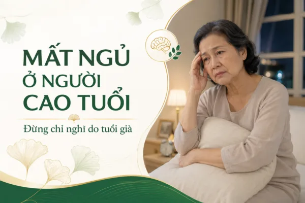 NGƯỜI CAO TUỔI NGỦ KHÔNG SÂU GIẤC: CÁCH HỖ TRỢ GIẤC NGỦ