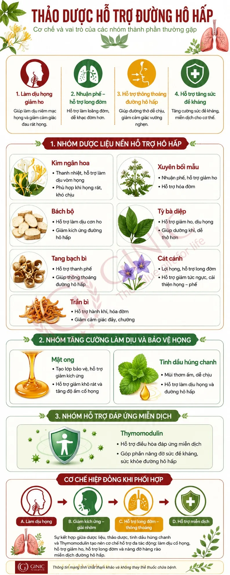 [INFOGRAPHIC] Thảo dược hỗ trợ đường hô hấp: Cơ chế làm dịu họng, giảm ho và hỗ trợ miễn dịch
