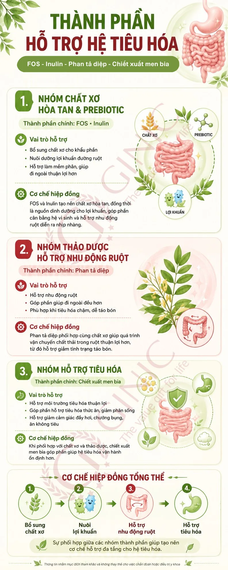 [INFOGRAPHIC] Thành phần hỗ trợ bổ sung chất xơ và tiêu hóa cho trẻ