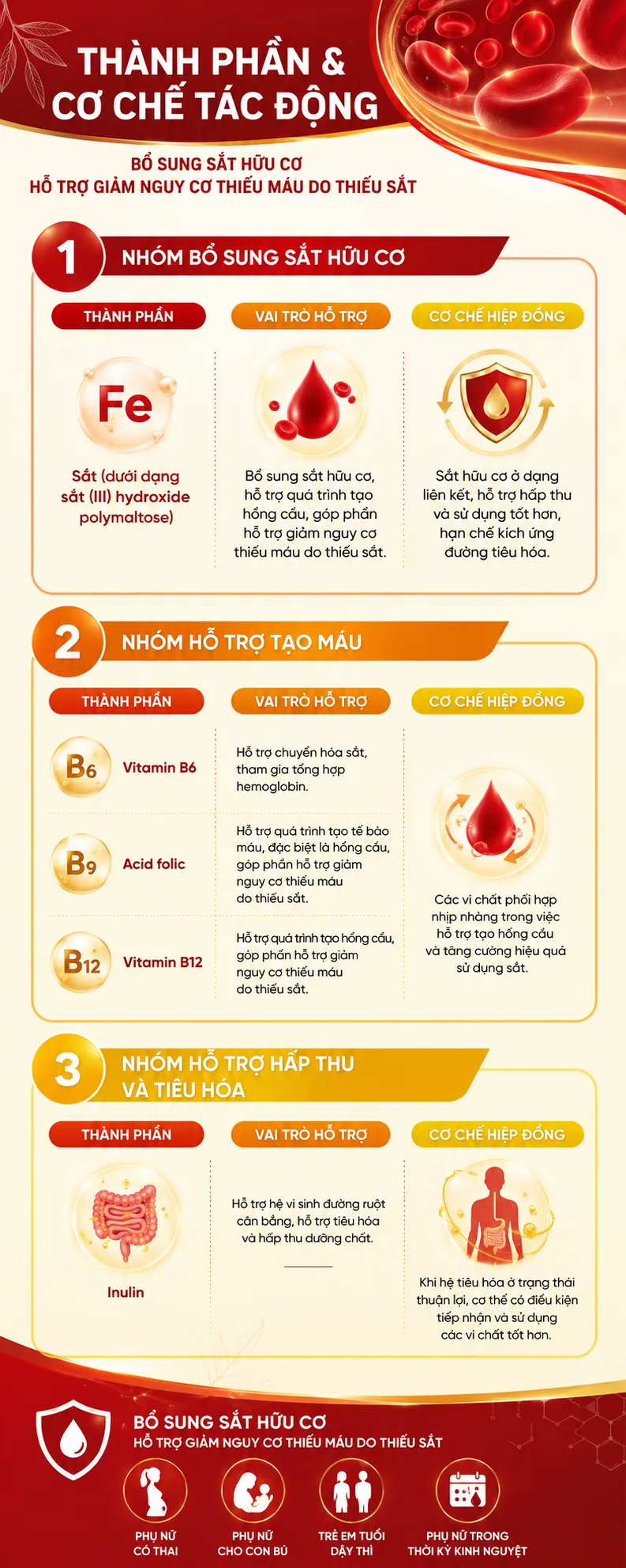 [INFOGRAPHIC] Nhóm thành phần hỗ trợ bổ sung sắt hữu cơ và giảm nguy cơ thiếu máu do thiếu sắt