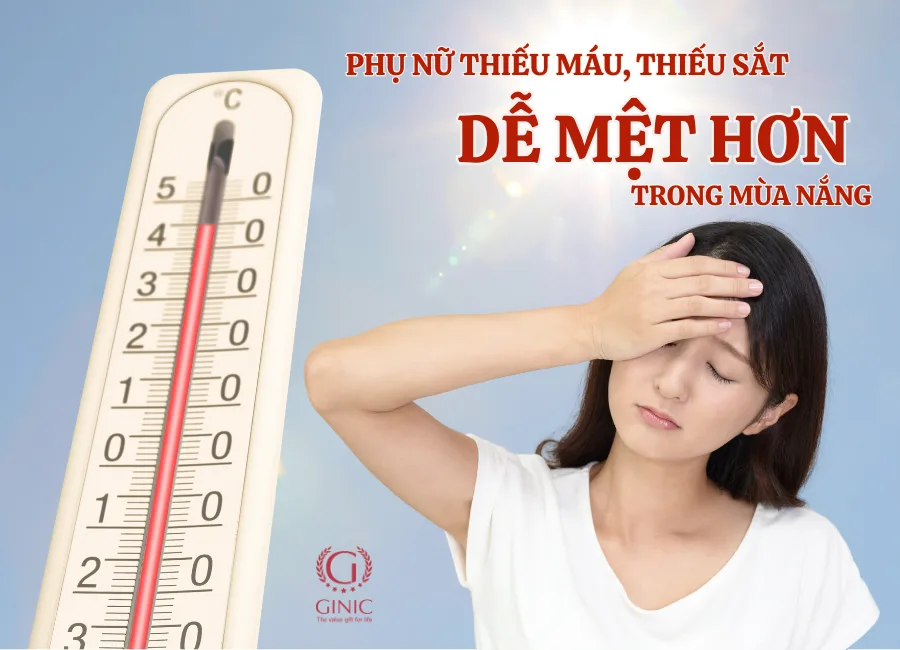 PHỤ NỮ THIẾU MÁU, THIẾU SẮT CÓ DỄ MỆT HƠN TRONG MÙA NẮNG NÓNG KHÔNG? PHỤ NỮ THIẾU MÁU, THIẾU SẮT CÓ DỄ MỆT HƠN TRONG MÙA NẮNG NÓNG KHÔNG?