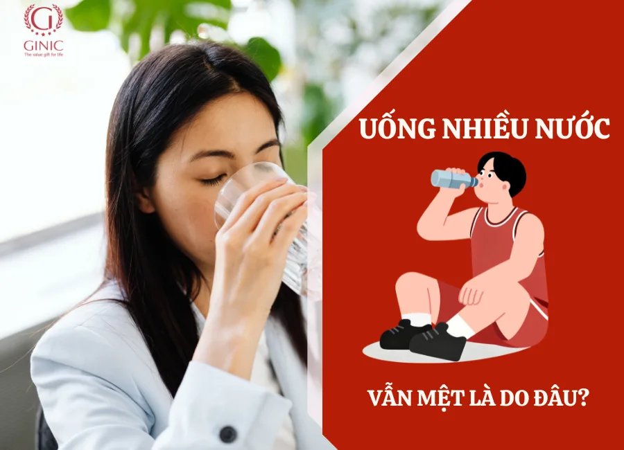 UỐNG NHIỀU NƯỚC VẪN MỆT LÀ DO ĐÂU? UỐNG NHIỀU NƯỚC VẪN MỆT LÀ DO ĐÂU?