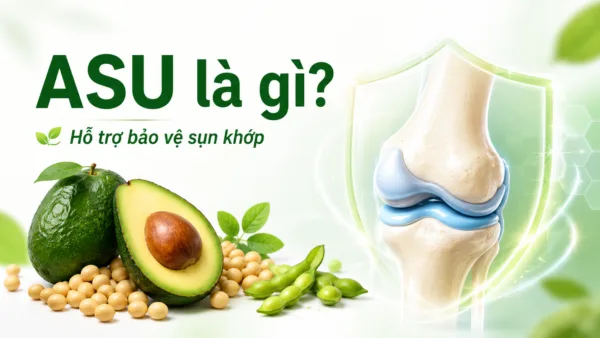 ASU là gì? Hoạt chất từ bơ và đậu nành hỗ trợ bảo vệ sụn khớp