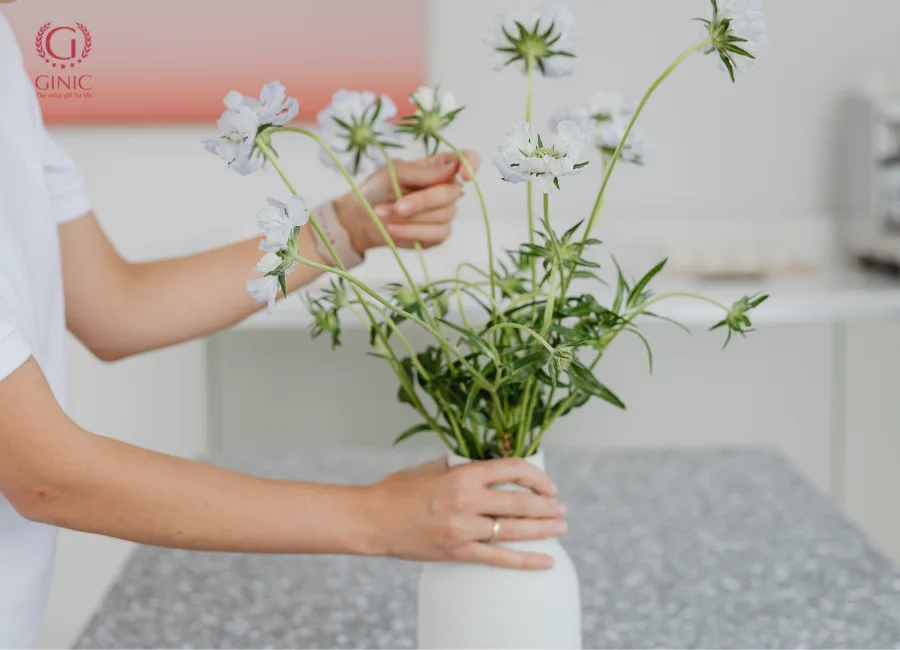 Nhà sạch vẫn có muỗi: Những chỗ đọng nước dễ bị bỏ quên Nhà sạch vẫn có muỗi: Những chỗ đọng nước dễ bị bỏ quên