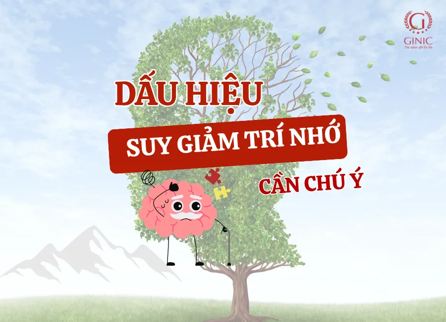 Dấu hiệu suy giảm trí nhớ nào cần được chú ý? Dấu hiệu suy giảm trí nhớ nào cần được chú ý?